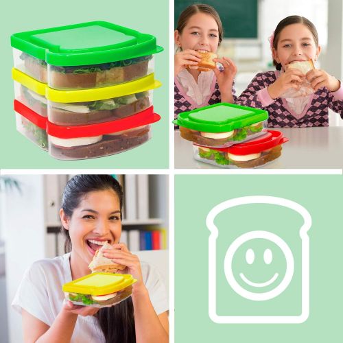  [아마존베스트]Pack2Go Sandwich Containers-3 Pack-Durable Plastic Sandwich Box-Reusable Sandwich Containers with Lids-Small Lunch Box for Snacks-School Breakfast-Lunch Sandwich Holder-Sandwich Keeper Cas