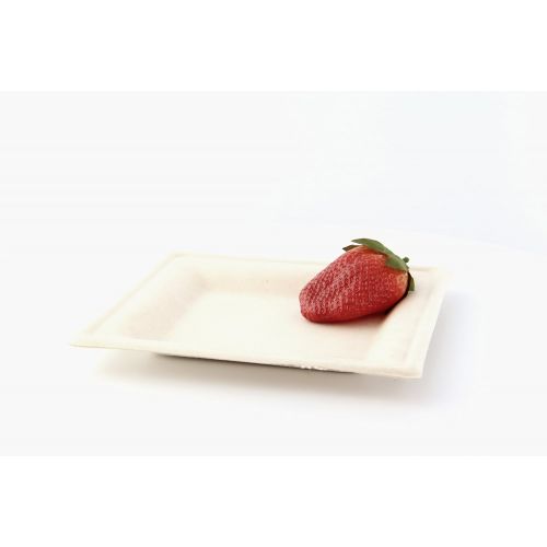  Brown Sugarcane Square Appetizer Plate (Case of 500), PacknWood - Disposable White Paper Dessert Plates (6.3 x 6.3) 210APU1616ABR