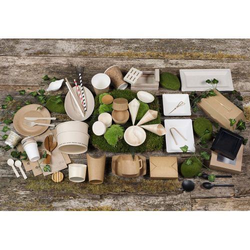  Bio n Chic White Square Small Sugarcane Plate (Case of 100), PacknWood - Small White Paper Plates (4.3 x 4.3) 210BCHIC1111