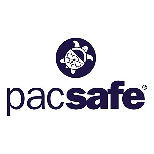 Pacsafe Travelsafe X15-16 Liter Portable Lockbox for Travel (Flat Design) -Fits 15 inch Laptop incl. TSA Accepted Combination Lock with Patented, Stainless Steel Mesh (Black), One