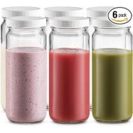 Paksh Novelty Travel Glass Drinking Bottle Mason Jar 16 Ounce [6-Pack] Plastic Airtight Lids, Reusable Glass Water Bottle for Juicing, Smoothies, Kombucha, Tea, Milk Bottles, Homemade Beverages Bottle