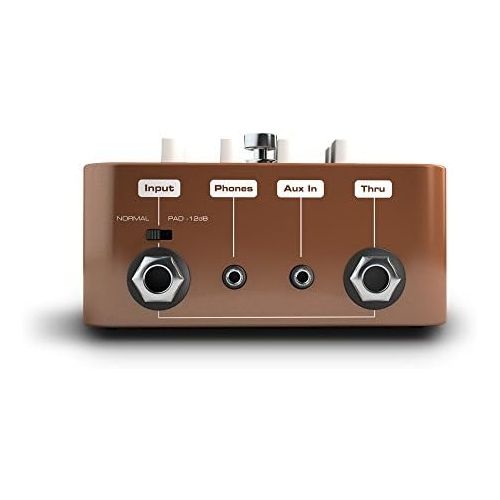  [아마존베스트]Palmer MI Pocket Amp Acoustic