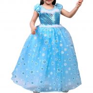 PamidaDress Girls Princess Elsa Costumes Snow Queen Fancy Party Dress-up Disney Birthday Halloween Dress