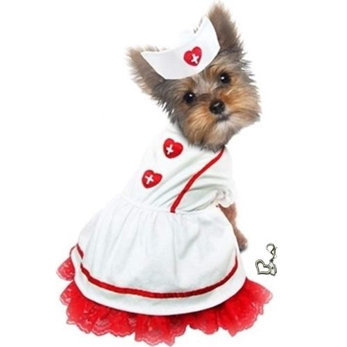  PampePet Nurse Uniform with Hat Costume - Classic Sweetheart Nurse Includes Nurse’s Loving Heart Clip on Charm - for Dog Sizes XS to L