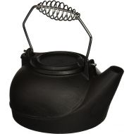 Panacea Products 15321 Humidifying Iron Kettle