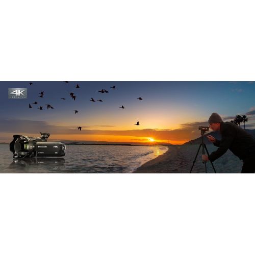 파나소닉 Panasonic 4K Cinema-Like Video Camera Camcorder HC-WXF991K, 20X Leica DICOMAR Lens, 1/2.3 BSI Sensor, 5-Axis Hybrid O.I.S, HDR Mode, EVF, WiFi, Multi Scene Video Recording (Black)