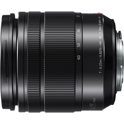 파나소닉 PANASONIC LUMIX G VARIO LENS, 12-60MM, F3.5-5.6 ASPH., MIRRORLESS MICRO FOUR THIRDS, POWER OPTICAL I.S., H-FS12060 (USA BLACK)