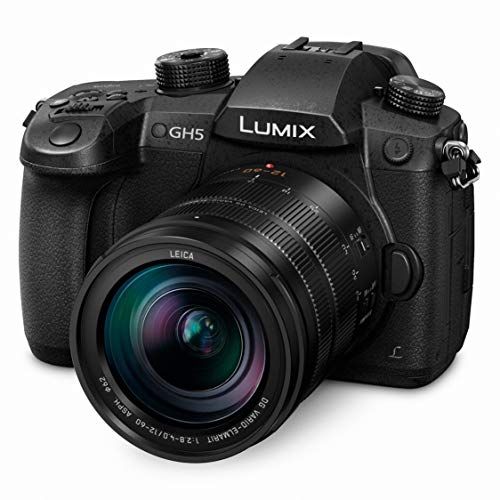 파나소닉 Panasonic LUMIX GH5 4K Mirrorless Camera with Lecia VARIO-Elmarit 12-60mm F2.8-4.0 Lens (DC-GH5LK)