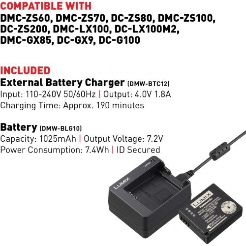 파나소닉 Panasonic DMW-ZSTRV Lumix Battery & External Charger Travel Pack, Black