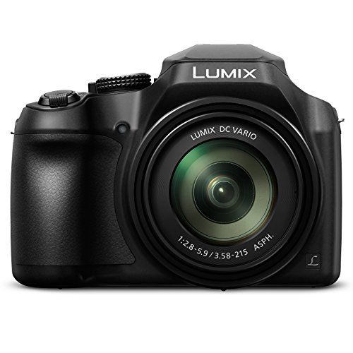 파나소닉 Panasonic LUMIX FZ80 4K Digital Camera, 18.1 Megapixel Video Camera, 60X Zoom DC VARIO 20-1200mm Lens, F2.8-5.9 Aperture, Power O.I.S. Stabilization, Touch Enabled 3-Inch LCD, Wi-F