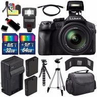 Panasonic Lumix DMC-FZ300 Digital Camera + Extra Battery + Charger + 96GB Kit9