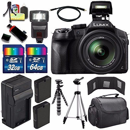 파나소닉 Panasonic Lumix DMC-FZ300 Digital Camera + Extra Battery + Charger + 96GB Kit9