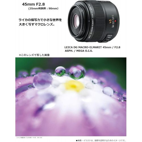 파나소닉 Panasonic H-ES045 Leica DG Macro-ELMARIT 45mm / F2.8 ASPH/MEGA O.I.S. - International Version (No Warranty)