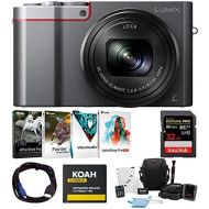 Panasonic LUMIX DMC-ZS100 Digital Camera 32 GB SD Card Bundle (Silver)