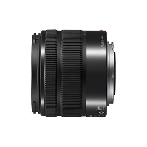 파나소닉 Panasonic LUMIX G Vario 14-42mm / F3.5-5.6 II ASPH. / MEGA O.I.S. Digital Interchangeable Zoom Lens - H-FS1442A - Black