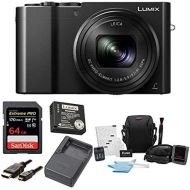 Panasonic LUMIX DMC-ZS100 Digital Camera Bundles (Battery & Charger Travel Bundle, Black)