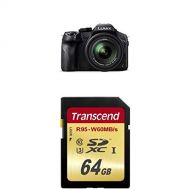 Panasonic LUMIX DMC-FZ300K 12.1 Megapixel (Black) and Transcend 64 GB Memory Card