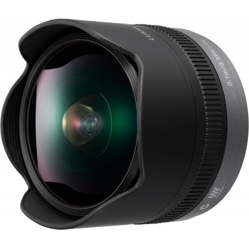 파나소닉 PANASONIC LUMIX G FISHEYE Lens, 8MM, F3.5, MIRRORLESS Micro Four Thirds, H-F008 (USA Black)