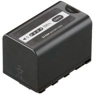 Panasonic VW-VBD58 Rechargeable Battery (Black)
