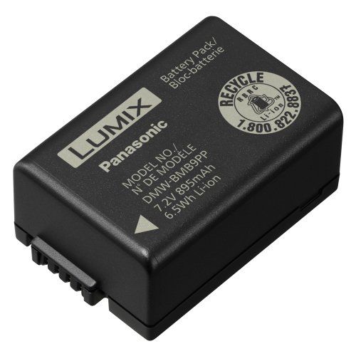 파나소닉 Panasonic Lithium-Ion Battery DMW-BMB9 for Lumix Cameras FZ100K FZ40K Fz80 Fz70, Black