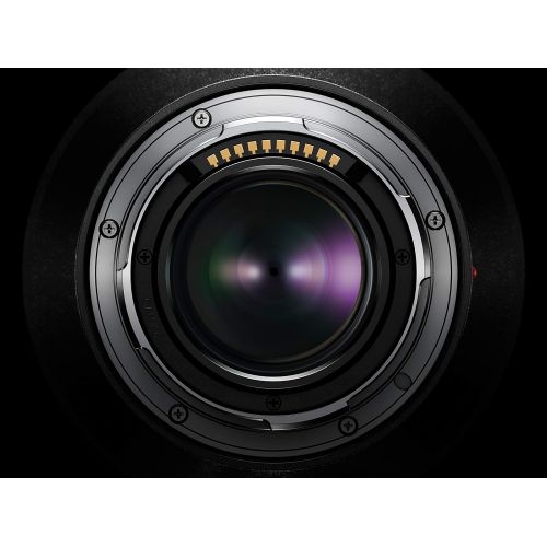 파나소닉 Panasonic LUMIX S PRO 50mm F1.4 Lens, Full-Frame L Mount, LEICA Certified, Dust/Splash/Freeze-Resistant for Panasonic LUMIX S Series Mirrorless Cameras - S-X50 (USA),Black