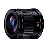 Panasonic replacement lens LUMIX G 42.5mm F1.7 ASPH. POWER OIS H-HS043-K - International Version (No Warranty)