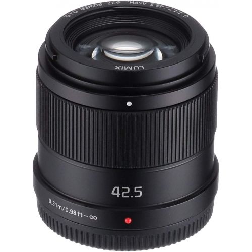 파나소닉 Panasonic replacement lens LUMIX G 42.5mm F1.7 ASPH. POWER OIS H-HS043-K - International Version (No Warranty)