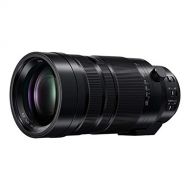 PANASONIC LUMIX G Leica DG Vario-Elmar Professional Lens, 100-400MM, F4.0-6.3 ASPH, MIRRORLESS Micro Four Thirds, Power Optical I.S, H-RS100400 (USA Black)