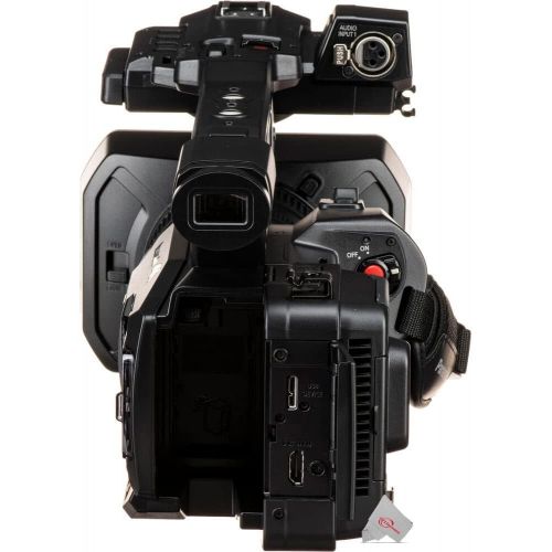 파나소닉 Panasonic Ag-UX90 4K Professional Camcorder