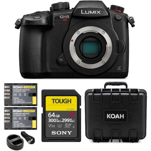 파나소닉 Panasonic GH5 Lumix 4K Mirrorless, 20.3 MP, Wi-Fi + Bluetooth,3.2 LCD w/Sony 64GB SF-G Series UHS-II & Hard Case Bundle