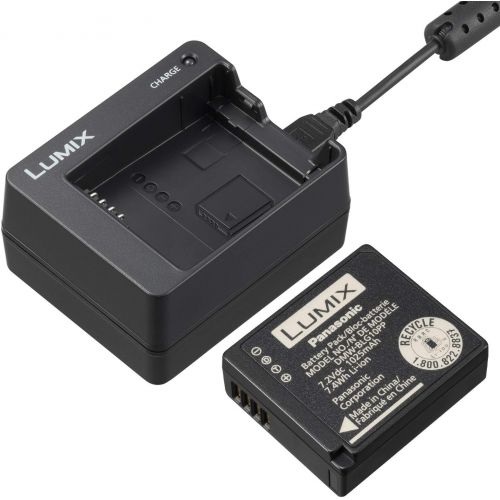 파나소닉 Panasonic DMW-ZSTRV Lumix Battery & External Charger Travel Pack, Black