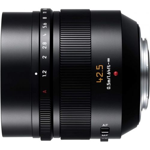 파나소닉 PANASONIC LUMIX G LEICA DG NOCTICRON LENS, 42.5MM, F1.2 ASPH., PROFESSIONAL MIRRORLESS MICRO FOUR THIRDS, POWER OPTICAL I.S., H-NS043 (USA BLACK)