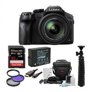 Panasonic DMC-FZ300K Digital Camera with 32GB SD Card and Accessory Bundle