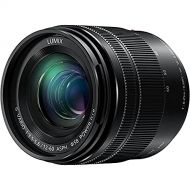 PANASONIC LUMIX G VARIO LENS, 12-60MM, F3.5-5.6 ASPH., MIRRORLESS MICRO FOUR THIRDS, POWER OPTICAL I.S., H-FS12060 (USA BLACK)