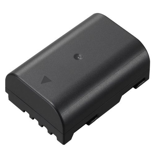 파나소닉 Panasonic DMW-BLF19 Lithium-Ion Battery Pack (Black)