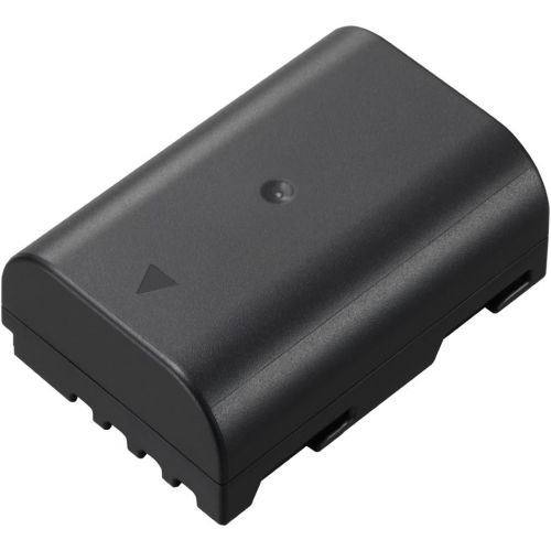 파나소닉 Panasonic DMW-BLF19 Lithium-Ion Battery Pack (Black)