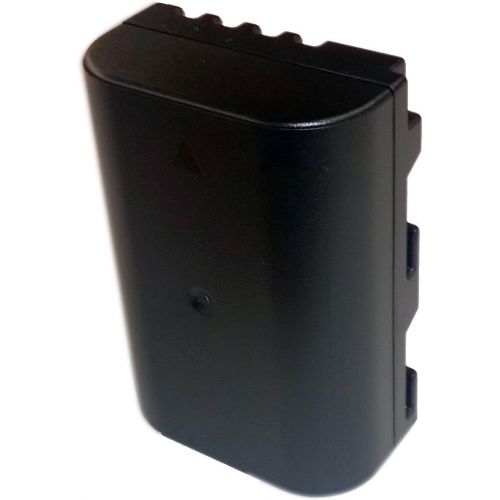 파나소닉 Panasonic DMW-BLF19 Lithium-Ion Battery Pack (Black)