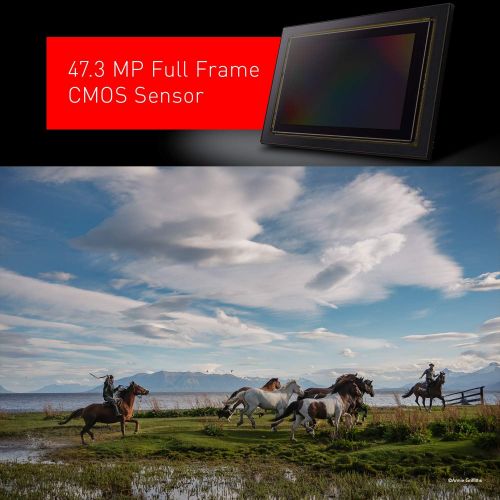 파나소닉 Panasonic LUMIX S1R Full Frame Mirrorless Camera with 47.3MP MOS High Resolution Sensor, L-Mount Lens Compatible, 4K HDR Video and 3.2” LCD - DC-S1RBODY