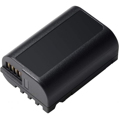 파나소닉 Panasonic LUMIX Lithium-Ion Battery Pack ? DMW-BLK22