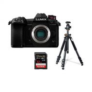 Panasonic Lumix G9 4K Mirrorless Digital Camera Body (Black), 20.3MP, Bundle with Vanguard Alta Pro 264AB 100 Aluminum Tripod with SBH-100 Ball Head, 32GB SD Card, LCD Protector, C