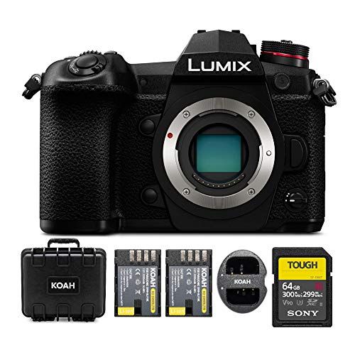 파나소닉 Panasonic Lumix Mirrorless Micro 4/3 Digital Camera (Body)-&-Accessory-Kit