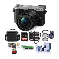 Panasonic Lumix DC-GX9 20.3MP Mirrorless Camera with 12-60mm F3.5-5.6 Lens, Silver - Bundle with Camera Bag, 32GB SDHC U3 Card, Cleaning Kit, Card Reader, 58mm Filter Kit, Mac Soft