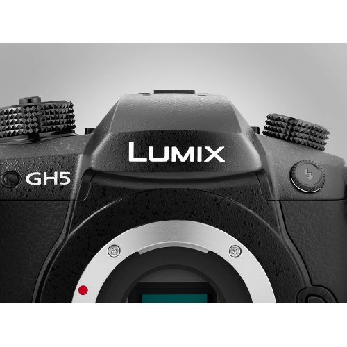 파나소닉 Panasonic LUMIX DC-GH5EB-K Compact System Mirrorless Camera Body only - Black