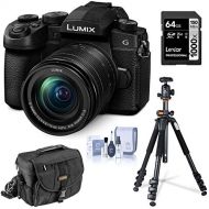 Panasonic LUMIX G95 20.3 Megapixel Mirrorless Digital Camera, 12-60mm F3.5-5.6 Lens, Pre-Installed V-Log L, Bundle with Vanguard 264AB-100 Aluminum Tripod with SBH-100 Ball Head, 3