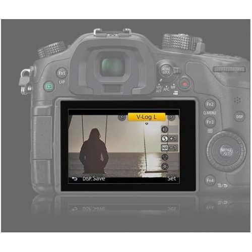 파나소닉 Panasonic V-LOG L Firmware Upgrade Unlock/Activation Code for GH4 Camera for Professional Color Graders