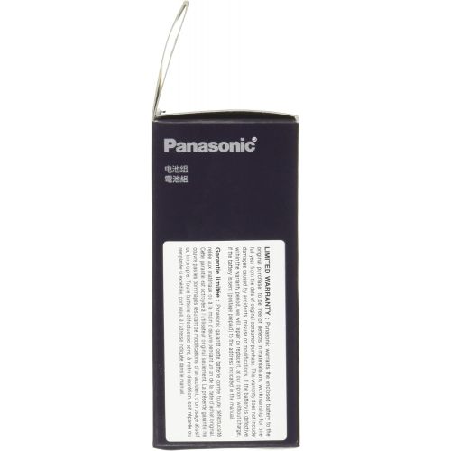 파나소닉 Panasonic DMW-BLG10 Lithium-Ion Battery Pack (Black)