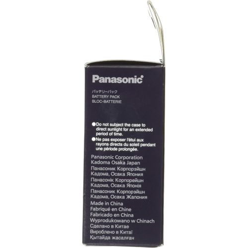 파나소닉 Panasonic DMW-BLG10 Lithium-Ion Battery Pack (Black)