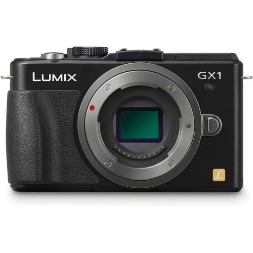 파나소닉 Panasonic LUMIX DMC-GX1 Mirrorless Micro Four Thirds Digital Camera-KitBox-NoLens (Black) - Battery Pack - Battery Charger - 16GB Card - Card Wallet - Reader - Soft CASE + More