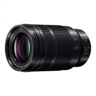 PANASONIC LUMIX Professional 50-200mm Camera Lens, G Leica DG Vario-ELMARIT, F2.8-4.0 ASPH, Dual I.S. 2.0 with Power O.I.S, Mirrorless Micro Four Thirds, H-ES50200 (Black)