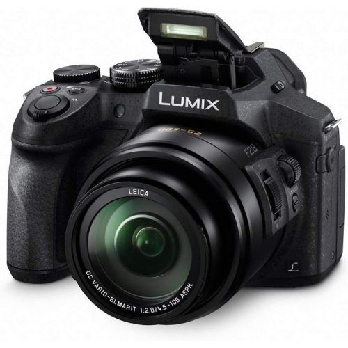 파나소닉 Panasonic Lumix DMC-FZ300 Digital Camera, 12.1 Megapixel, 1/2.3-inch Sensor, 4K Video, 24X Zoom Lens F2.8 Bundle with Bag, Filter, Battery, 64GB SD Card + Case, Tripod, PC Software